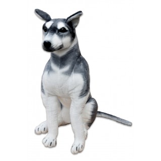 Plyšový pes Husky, výška 80cm