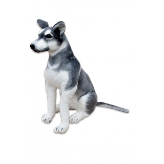 Plyšový pes Husky, výška 80cm