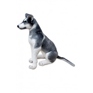 Plyšový pes Husky, výška 80cm