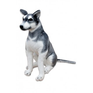 Plyšový pes Husky, výška 80cm