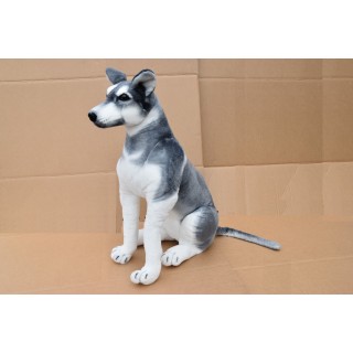 Plyšový pes Husky, výška 80cm