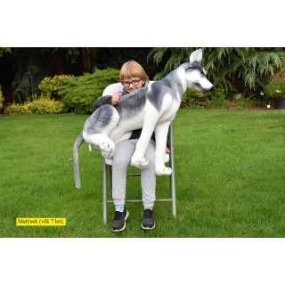Plyšový pes Husky, výška 80cm