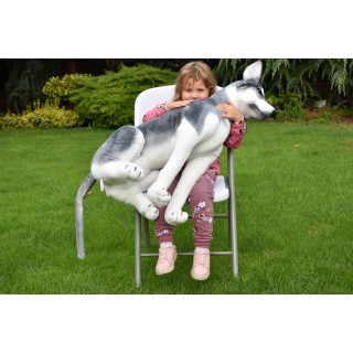 Plyšový pes Husky, výška 80cm