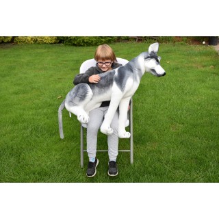Plyšový pes Husky, výška 80cm