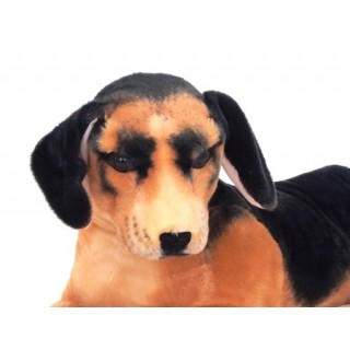 Plyšový psík Hamilton