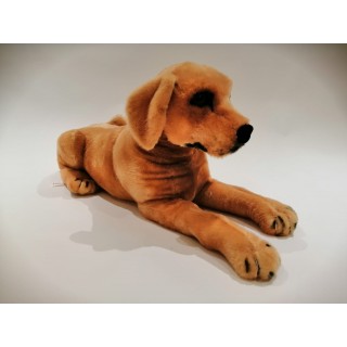 Plyšový zlaty Labrador