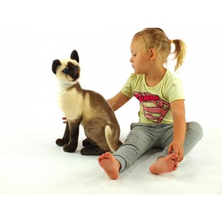 Plyšová mačka siamská