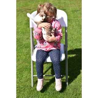 Plyšová mačka ležiaca