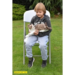 Plyšová mačka ležiaca