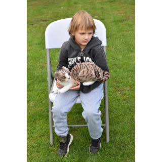 Plyšová mačka ležiaca