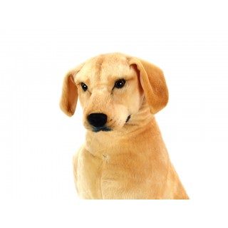 Plyšový sediaci Labrador