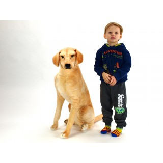 Plyšový sediaci Labrador