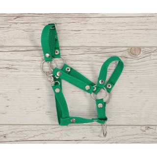 Nastaviteľná ohlávka pre Hobby Horse A3 - zelená