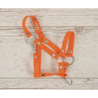 Nastaviteľná ohlávka pre Hobby Horse A3 - oranžová