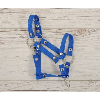 Nastaviteľná ohlávka pre Hobby Horse A3 - modrá