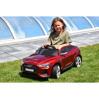 Audi E-tron S sportback quatro s 2.4G, náhon 4x4