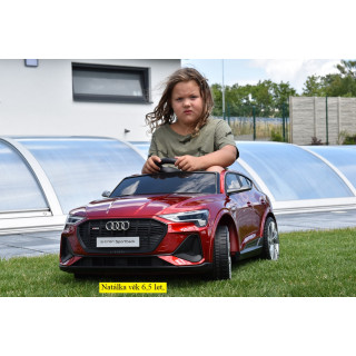 Audi E-tron S sportback quatro s 2.4G, náhon 4x4