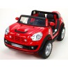 Dvojmiestny MINI Beachcomber - plážové vozidlo s DO, 12V