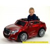 Mercedes S Class 600, s otváracími dverami, 2,4G DO, vínová metalíza