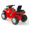 Elektrická štvorkolka Toyz Raptor