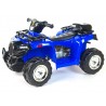 Elektrická štvorkolka Toyz Raptor