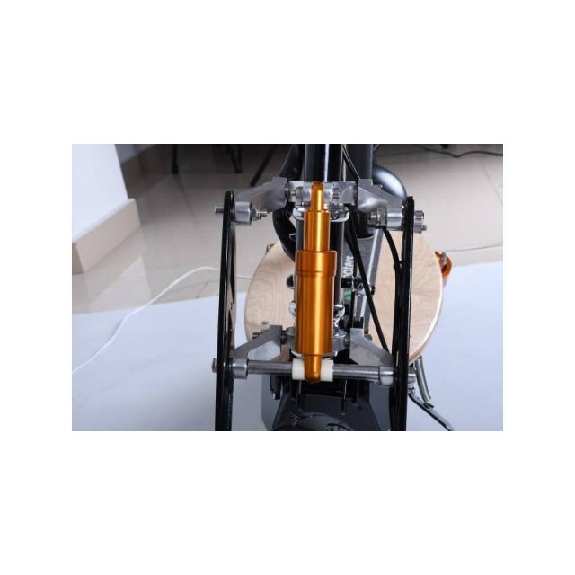 X-SCOOTERS XT01 WOOD 36V LI