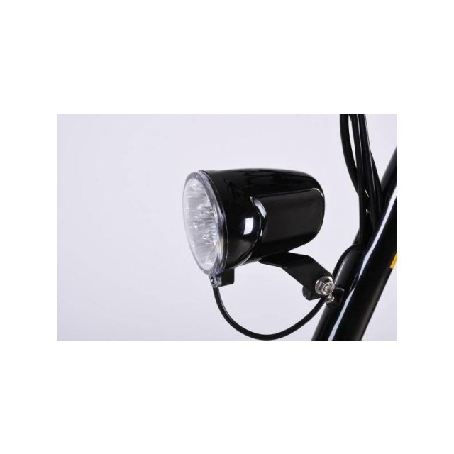 X-SCOOTERS XT01 WOOD 36V LI