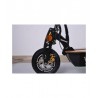 X-SCOOTERS XT03 48V