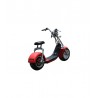 X-SCOOTERS XT06 60V LI
