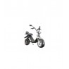 X-SCOOTERS XR09 EEC LI