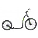 Cross 6.2