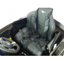 Ford Mustang GT s 2.4G, 24V, lakované
