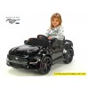 Ford Mustang GT s 2.4G, 24V, lakované