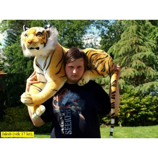 Obrovský ležiaci tiger 200cm