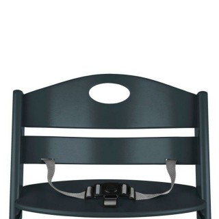 BABYGO Jedálenská stolička Family XL Black